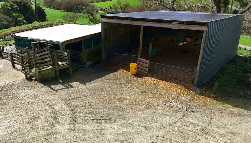 77 Parker Road, Wellsford