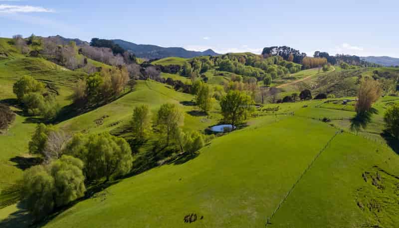 2122 Masterton Castlepoint Road, Masterton