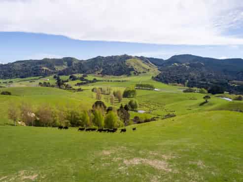 2122 Masterton Castlepoint Road, Masterton