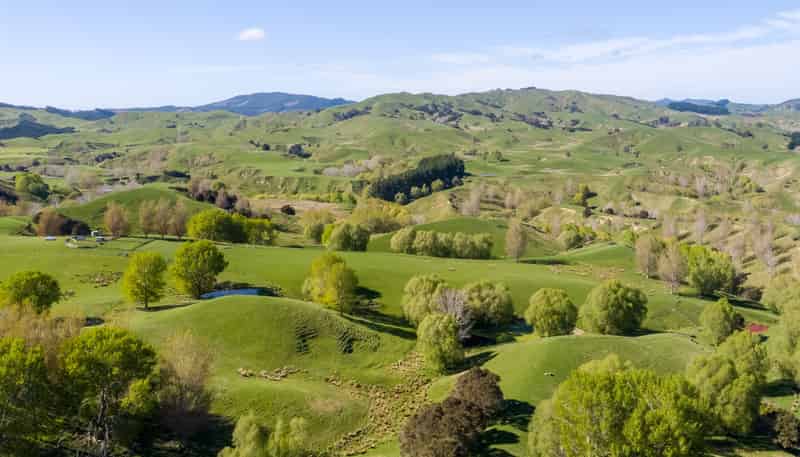 2122 Masterton Castlepoint Road, Masterton