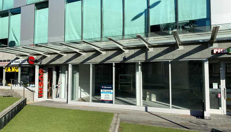  Part Ground Floor, 109 Ward Street, Hamilton Central