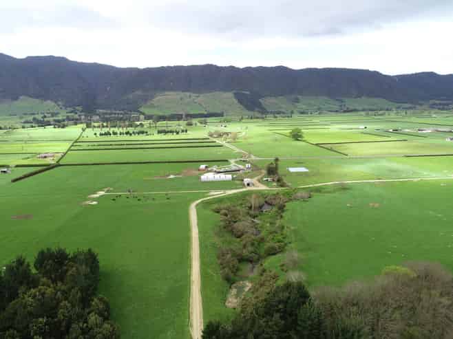 12/1212A Tower Road, Matamata