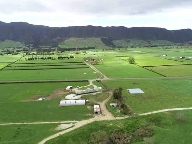 12/1212A Tower Road, Matamata