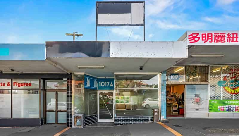 1017A Dominion Road, Mount Roskill