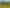 1965  Tiki Road, SH25, Coromandel, Coromandel
