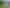 1965  Tiki Road, SH25, Coromandel, Coromandel