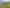 1965  Tiki Road, SH25, Coromandel, Coromandel