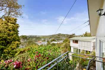 4 Wheeler Way, Johnsonville