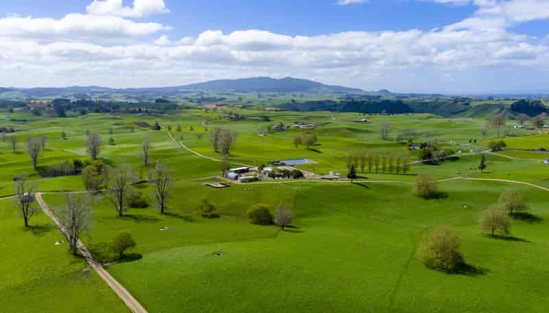 318 Aotearoa Road, Wharepapa South