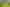 A/443 Mahurangi West Rd, Mahurangi West