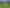 1896 Omana Road, Pukehuia