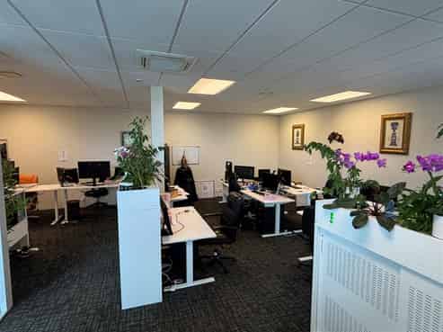 Tidy Professional Te Rapa Offices