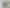 67A Albert Street, Palmerston North