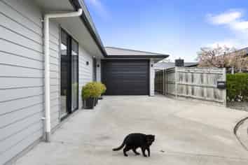 67A Albert Street, Palmerston North