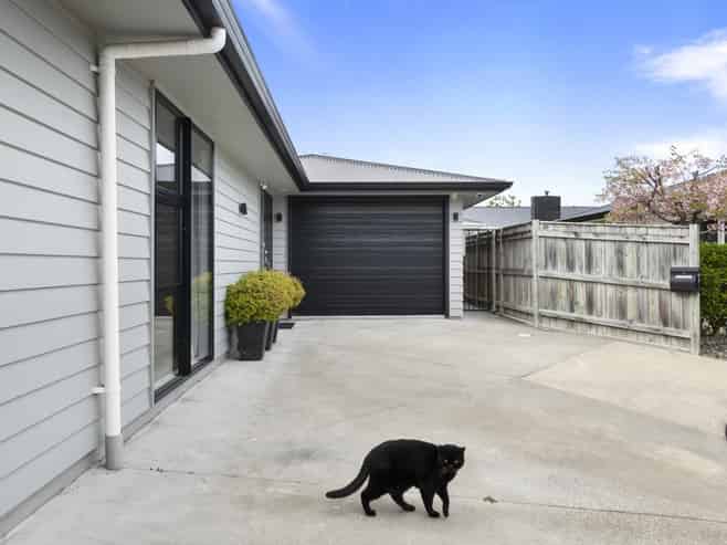 67A Albert Street, Palmerston North