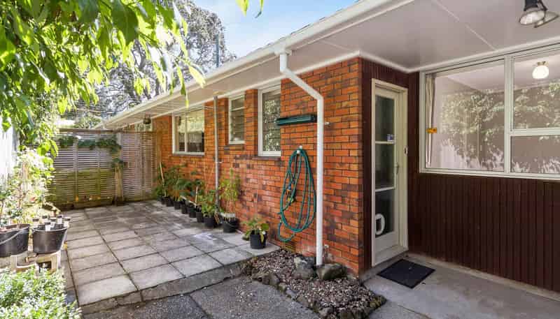 2/20 Poronui Street, Mount Eden