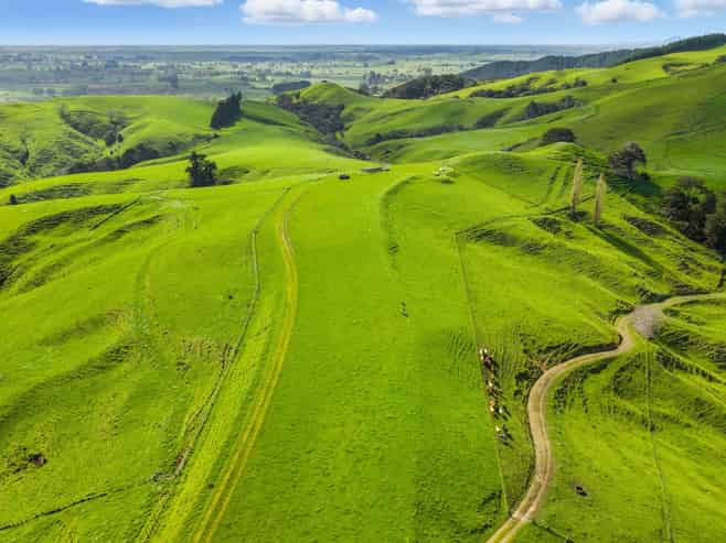 531 Parklands Road, Rotoorangi