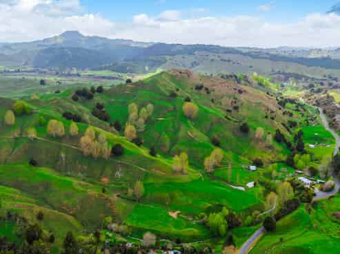 162 Okahukura Saddle Road, Matiere