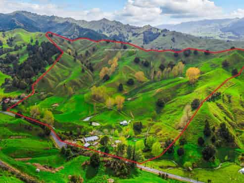 162 Okahukura Saddle Road, Matiere