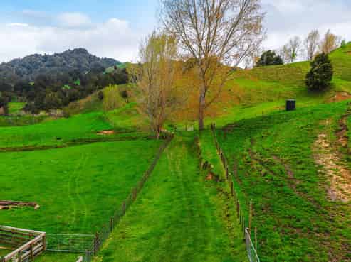 162 Okahukura Saddle Road, Matiere