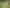 1170 Kennedy Bay Rd, Coromandel