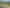 1170 Kennedy Bay Rd, Coromandel