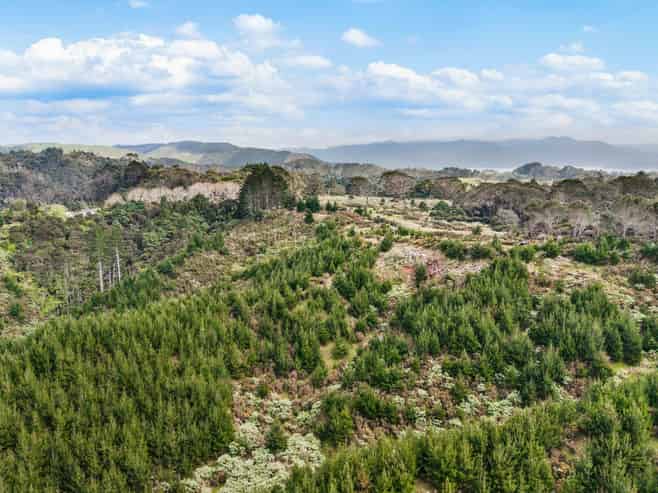 Lot 6 Tram Gully Road, Awhitu