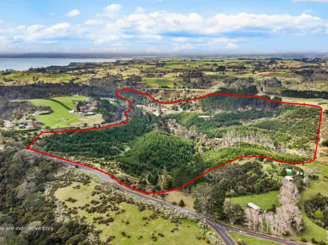 Lot 6 Tram Gully Road, Awhitu