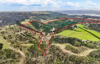Lot 6 Tram Gully Road, Awhitu