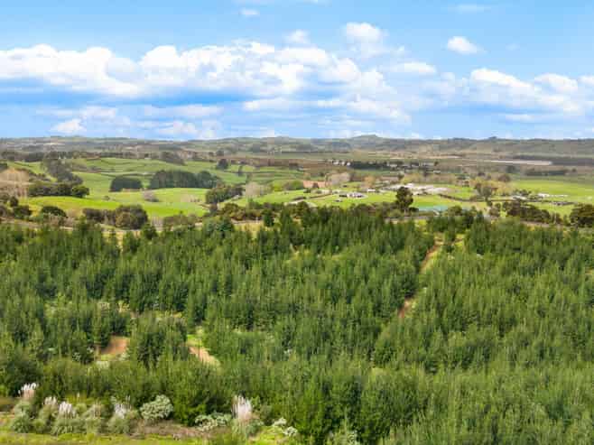 80 Cameron Town Road, Pukekohe