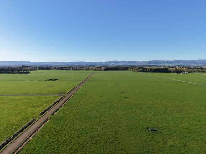1063 Kairanga Bunnythorpe Road, Kairanga
