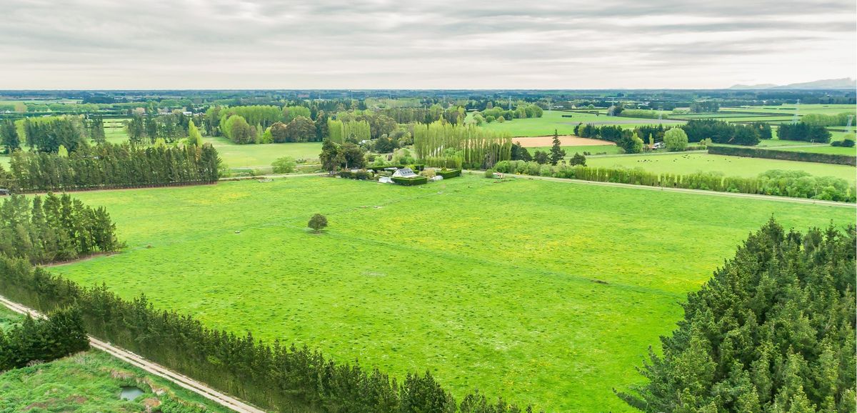 Fernside lifestyle plus subdivision potential - Widok 3