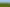 4626 Ohaupo Road, Ohaupo