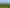4626 Ohaupo Road, Ohaupo