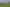 4626 Ohaupo Road, Ohaupo