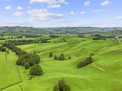 878 Mokauiti Road, Aria