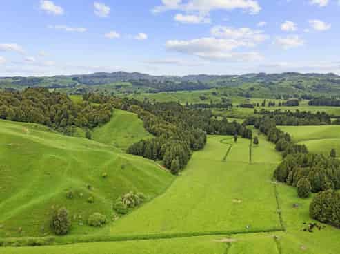 878 Mokauiti Road, Aria