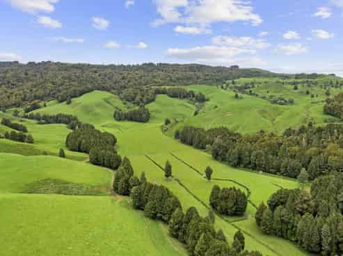 878 Mokauiti Road, Aria