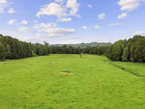 878 Mokauiti Road, Aria