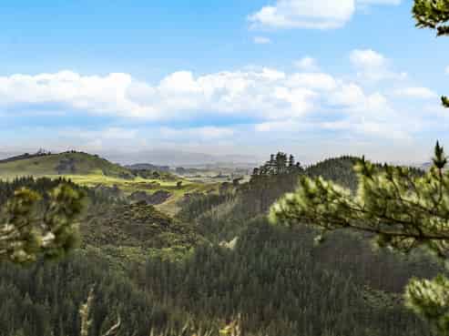 937 Klondyke Road, Port Waikato