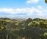 937 Klondyke Road, Port Waikato, Franklin, Auckland
