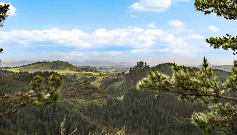 937 Klondyke Road, Port Waikato