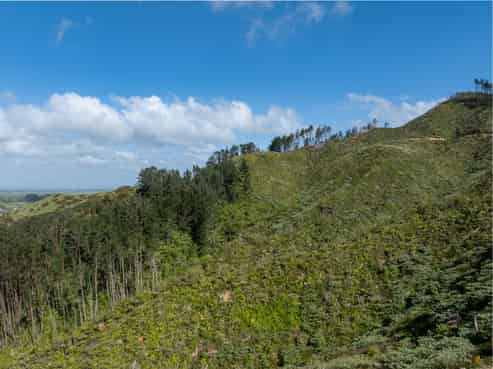 841c Hakarimata Road, Huntly