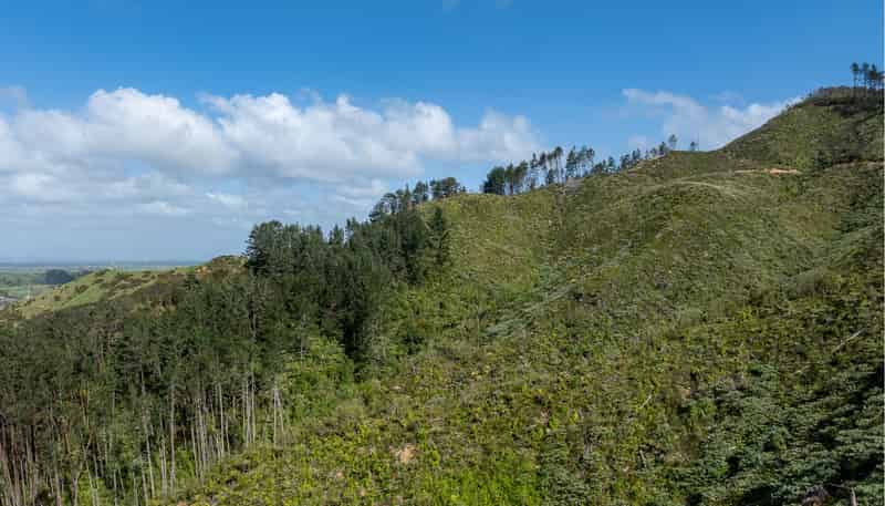841C Hakarimata Road, Huntly