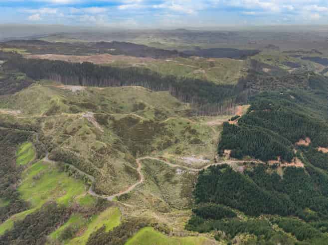 1335 Klondyke Road, Port Waikato