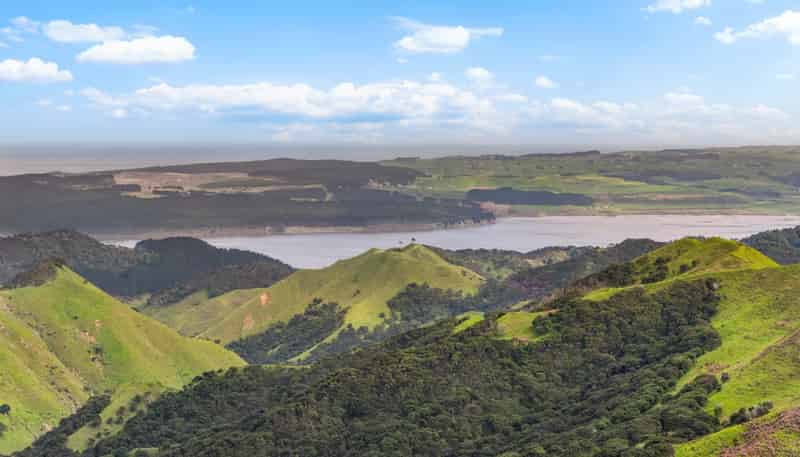 1335 Klondyke Road, Port Waikato