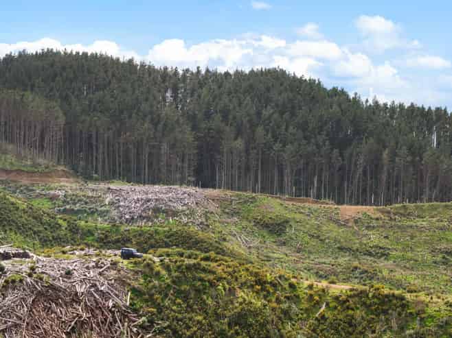 1335 Klondyke Road, Port Waikato