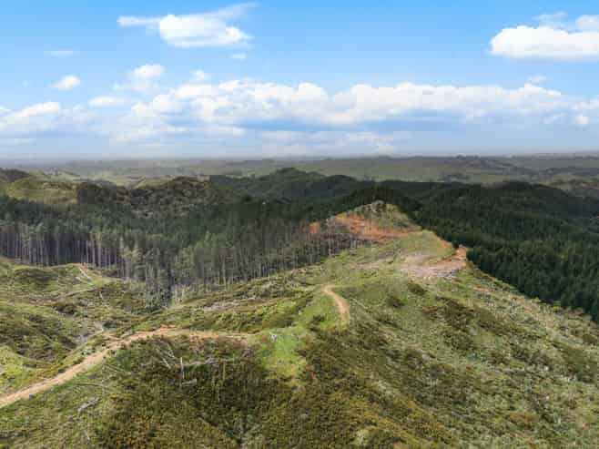 1335 Klondyke Road, Port Waikato