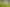 471 Razorback Road, Pokeno
