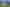 471 Razorback Road, Pokeno